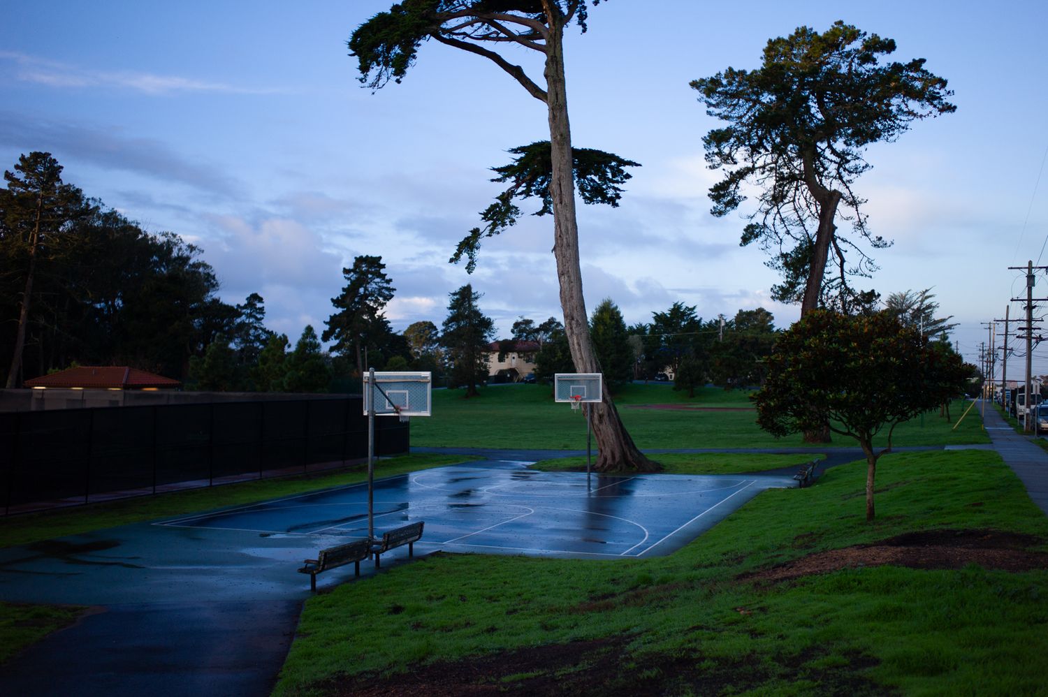 Misty San Francisco park at dusk with tall trees, green lawn, and residential buildings under overcast skies.