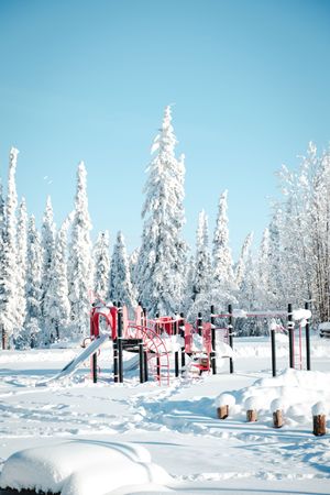 Snow-covered red playground equipment surrounded by frost-laden pine trees under a clear blue winter sky.
