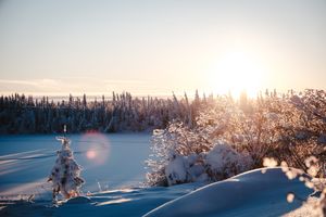 Snow-covered trees and frozen lake glow in golden winter sunlight in a serene Nordic landscape.