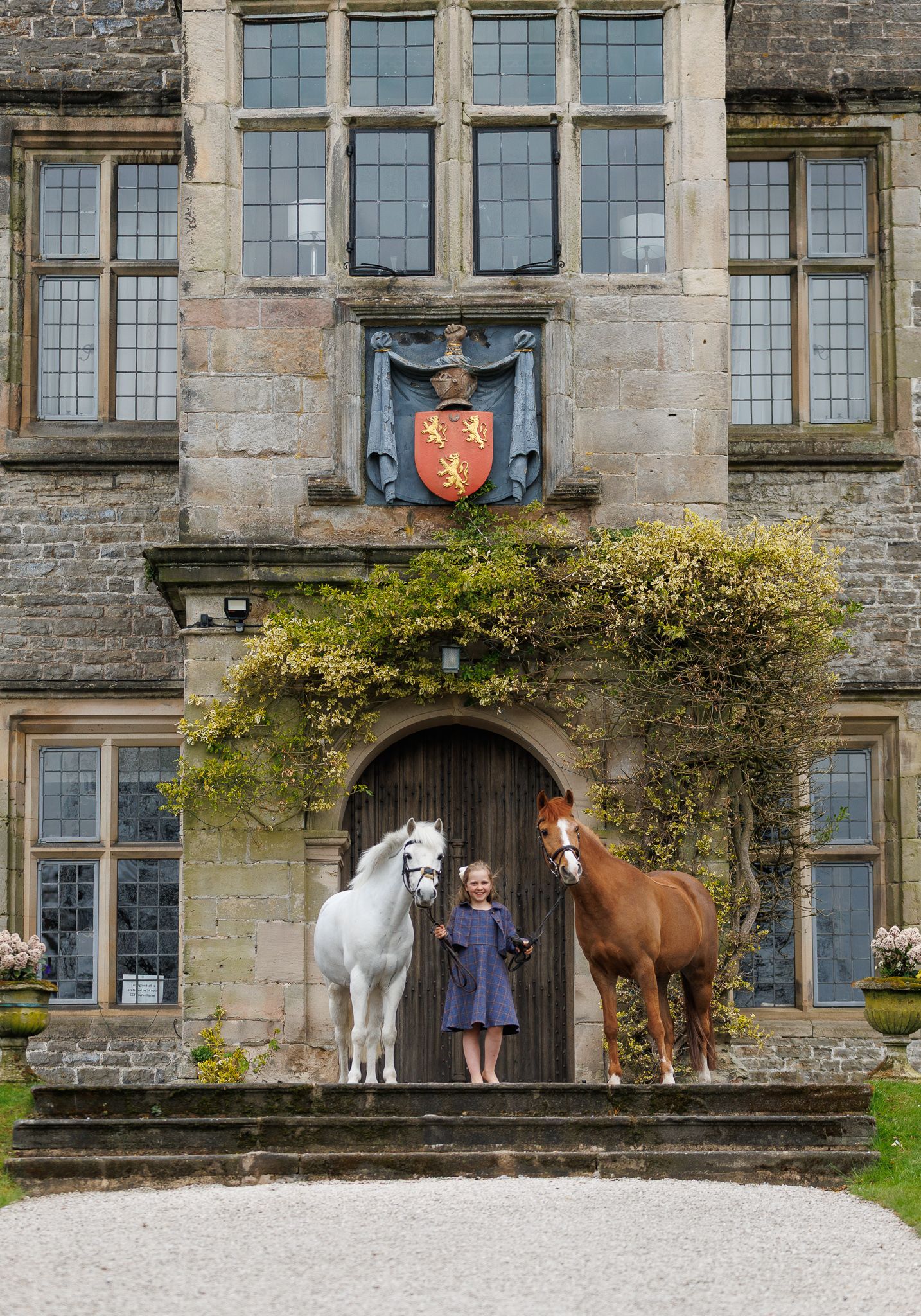 A beautiful bay horse wearing a black bridle stands next to someone in a white lace dress in an outdoor setting.