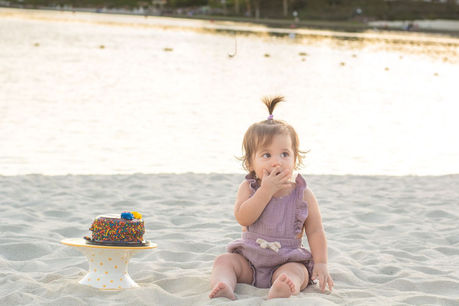 One Year Old Cake Photography session at the beach.