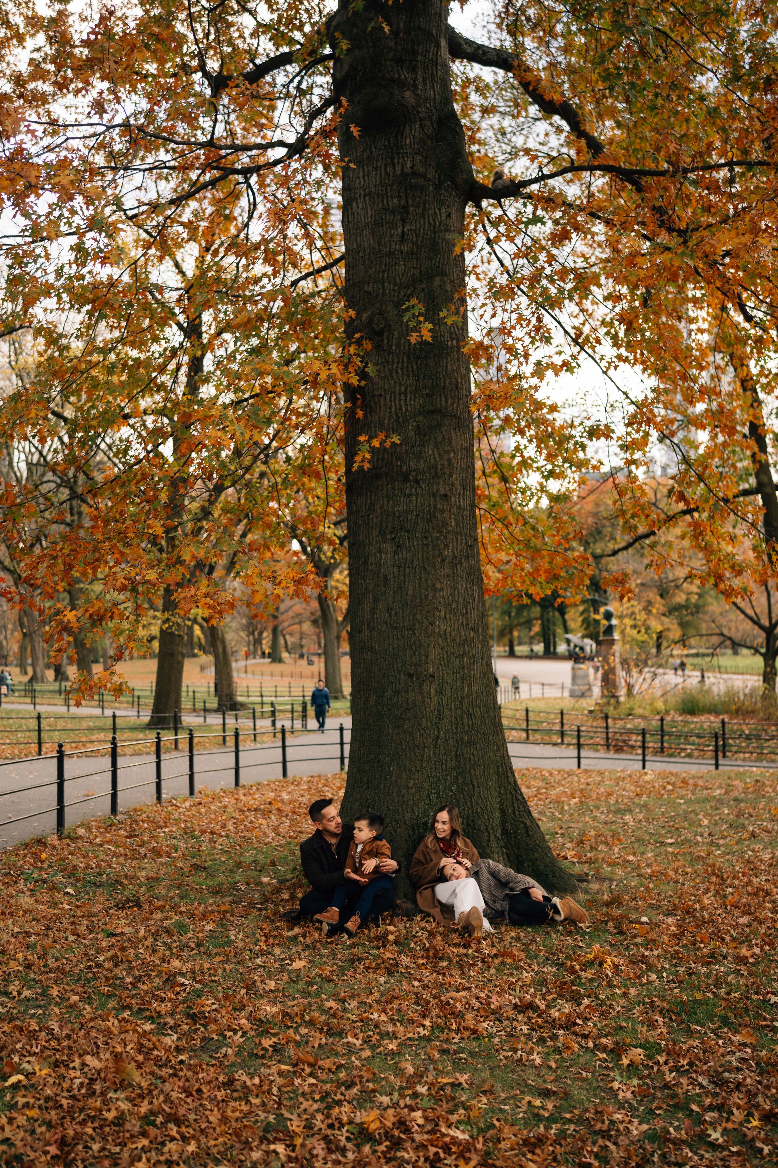 Three autumn photos show people relaxing on fallen leaves beneath large trees with golden foliage in a park setting.