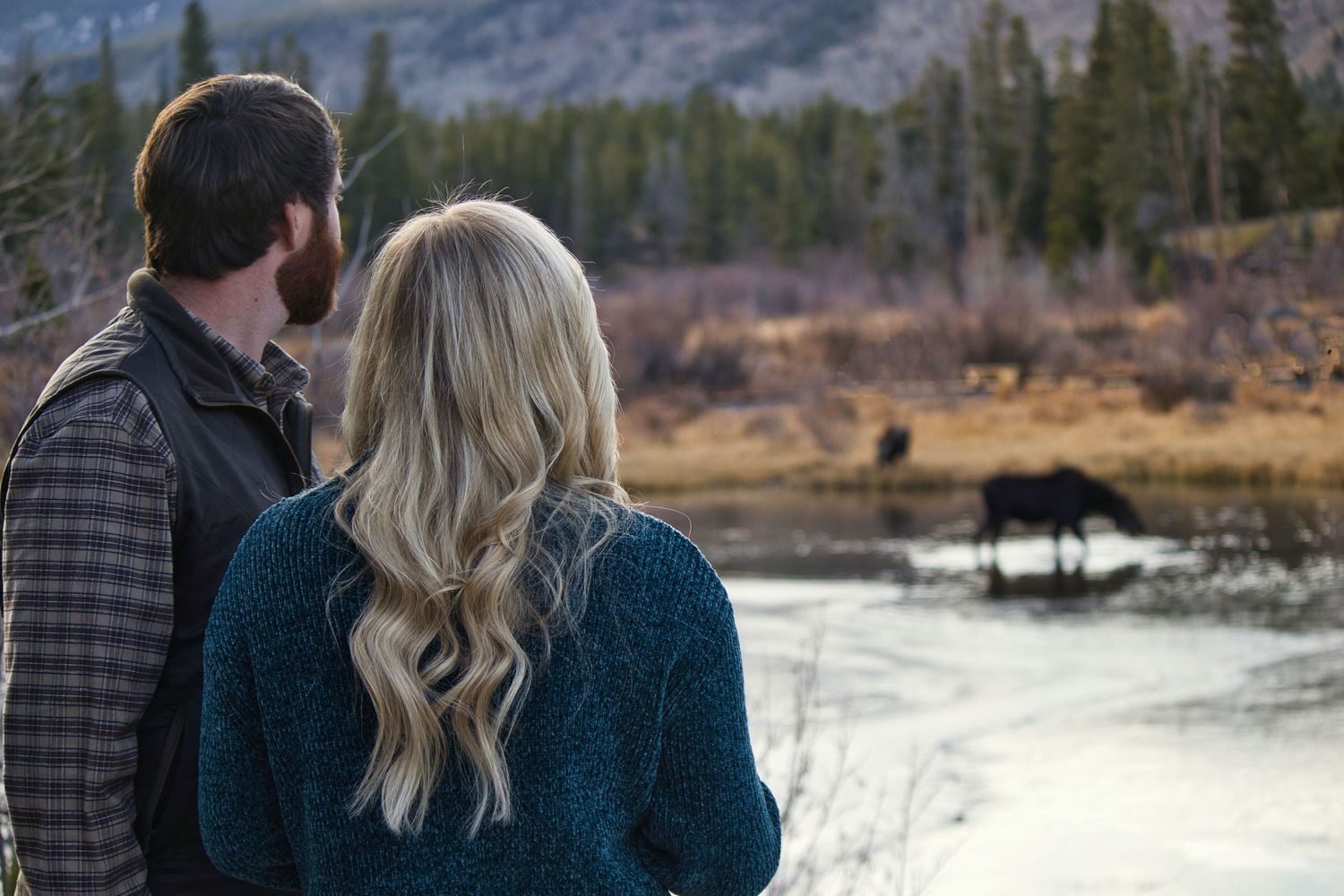Couple watching 2 moose after their proposal at Sprague Lake. Pixcapades | The Rocky Mountain Proposal Photographer