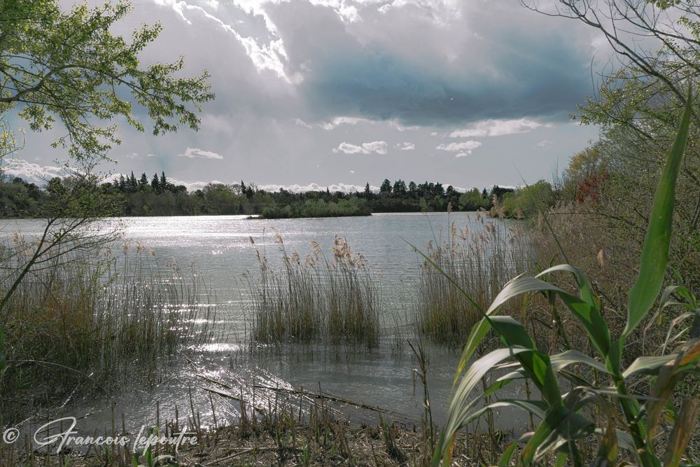 photo d'un étang