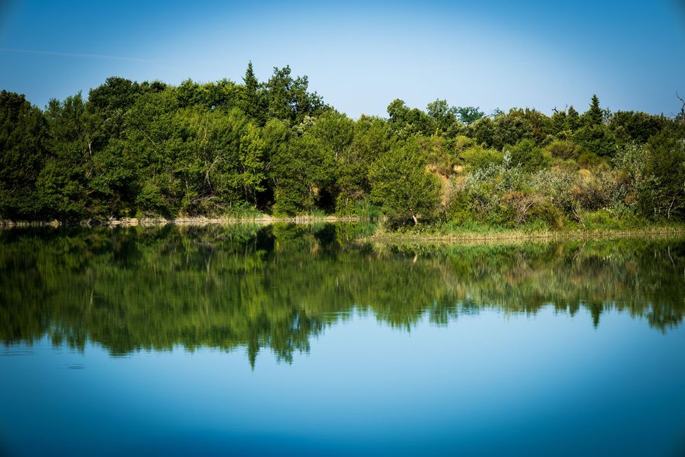 Serene lake reflecting lush green trees under a clear blue sky in a tranquil natural landscape.