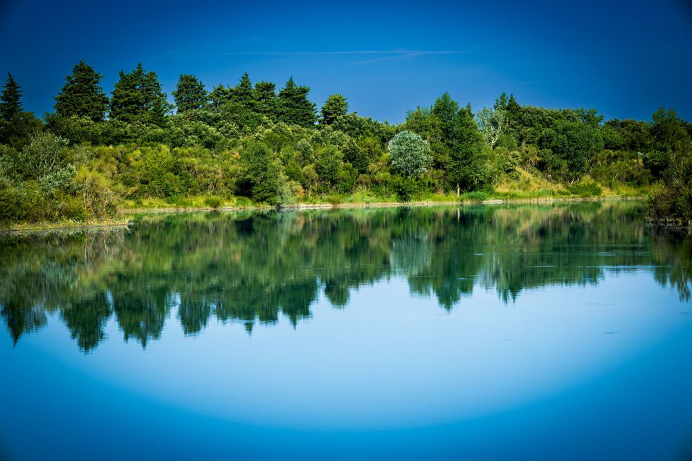 Serene blue lake reflecting lush green trees under a clear sky on a calm summer day.