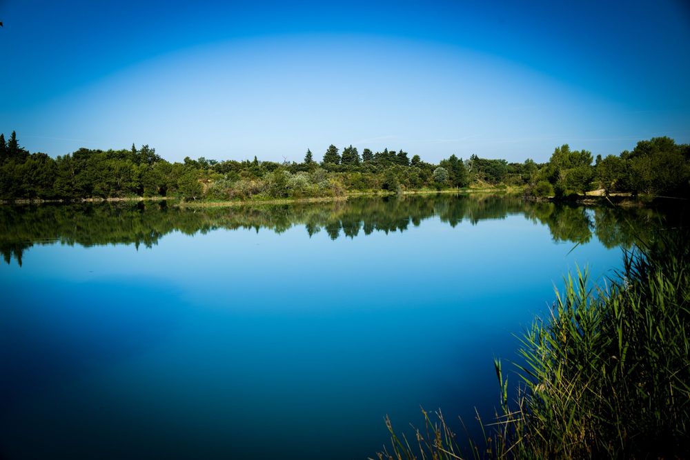 Serene blue lake reflecting lush green trees under a clear sky on a calm sunny day.