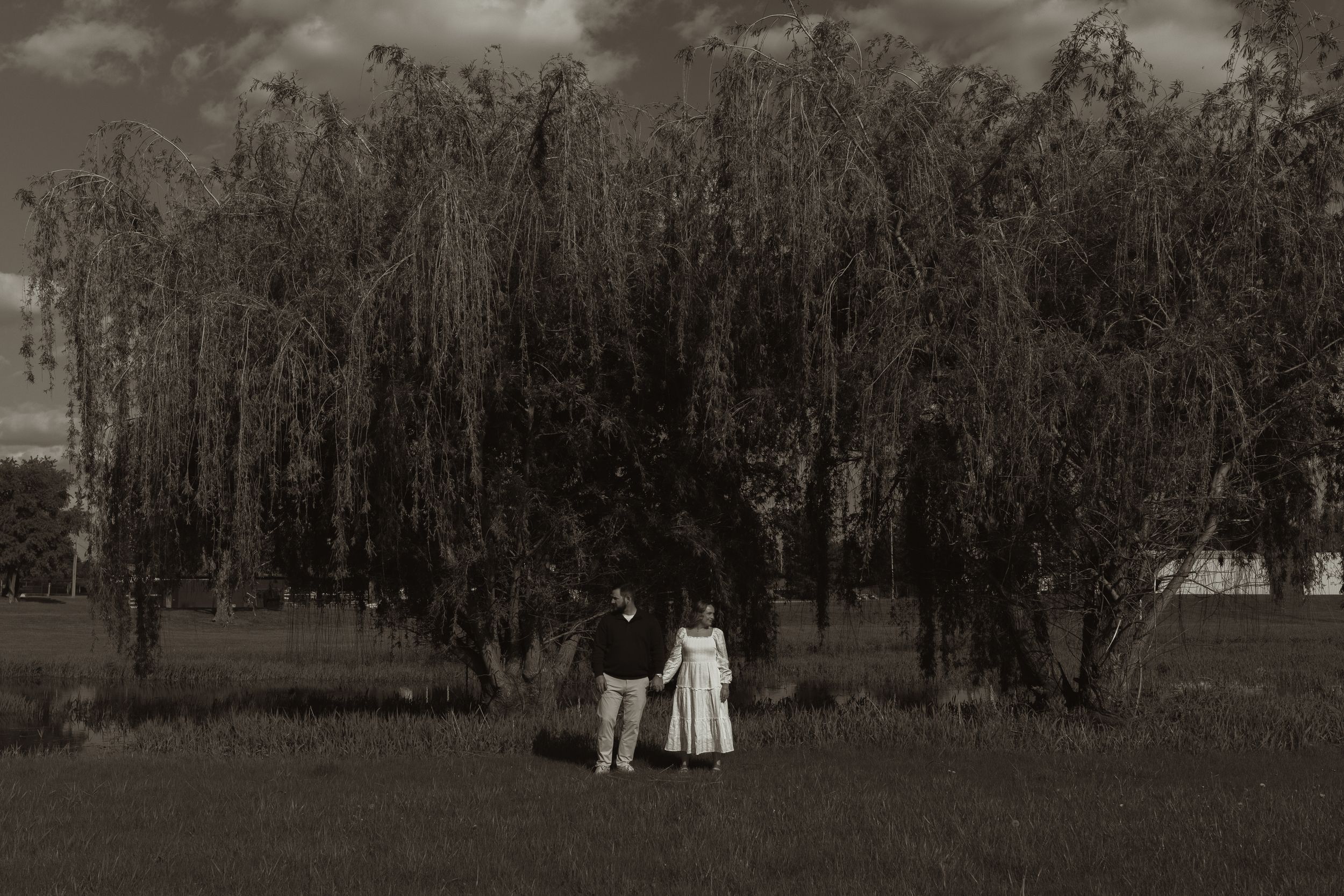 Black and white photo of a couple holding hands in front of a large weeping willow tree in a green field.