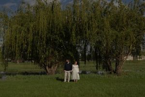 Couple holding hands in a lush green field beneath a large weeping willow tree.