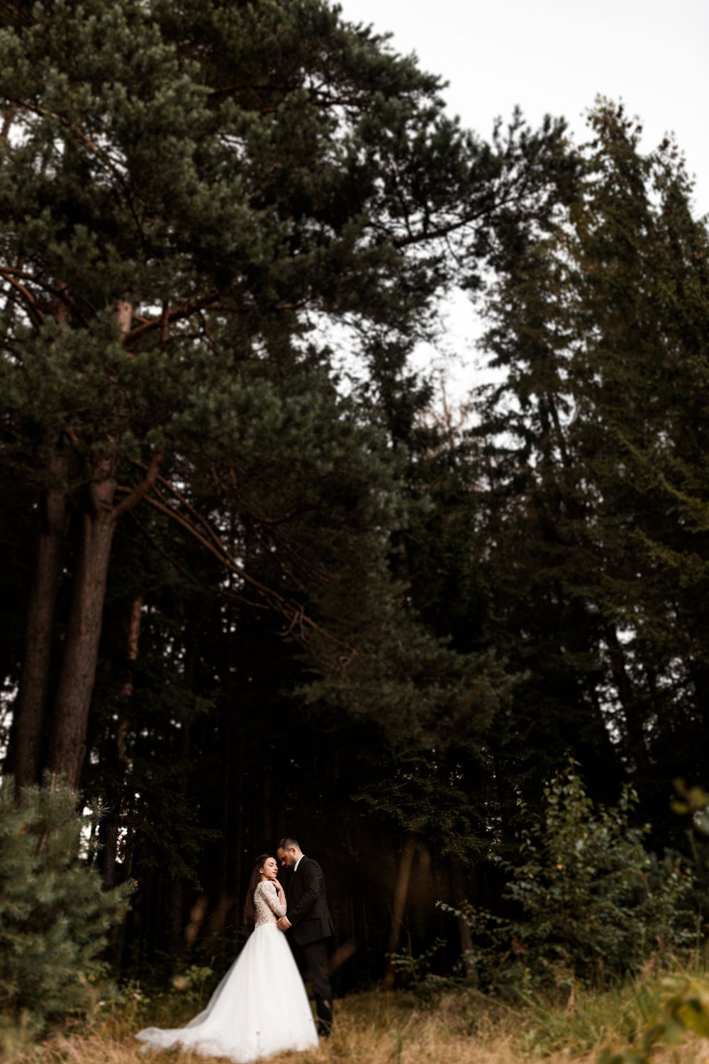 Bride and groom embracing romantically among tall pine trees in a forest wedding photo.