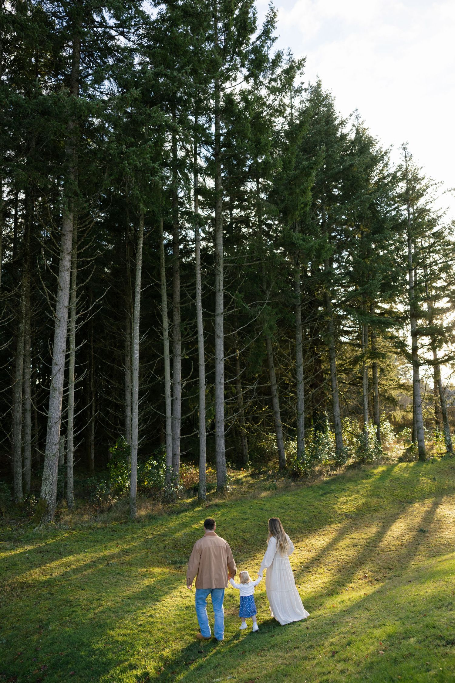 Family of three walks hand-in-hand toward tall pine forest in golden afternoon light.