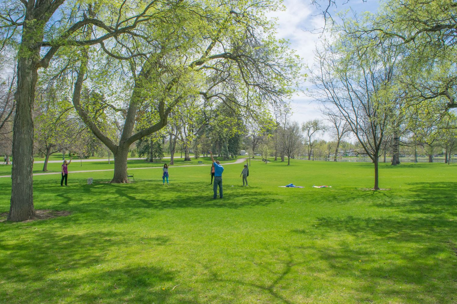People enjoying outdoor activities on lush green grass among tall trees in a sunny park during spring.