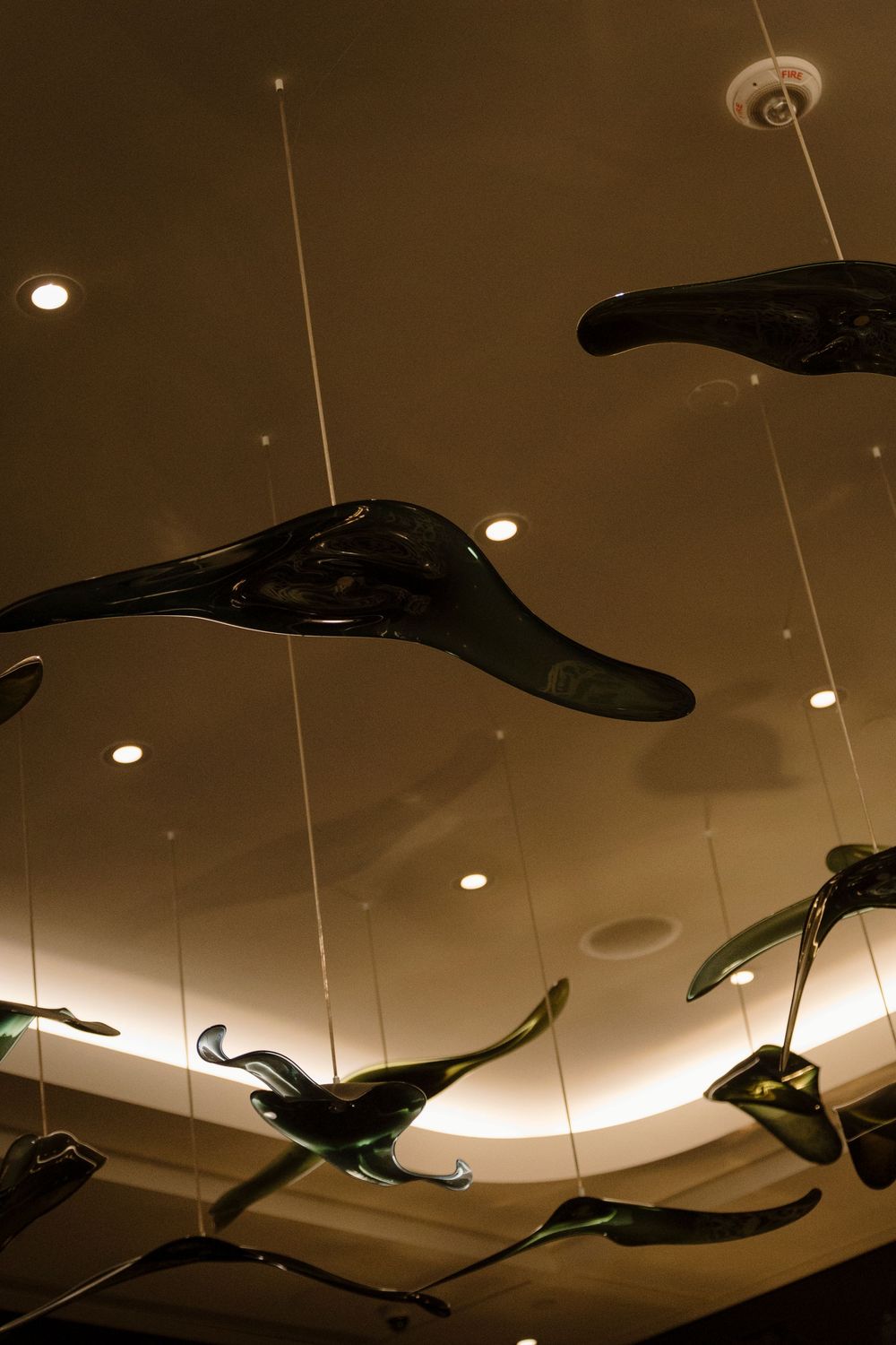 Abstract black sculptural forms hang from a ceiling with recessed lighting creating a dramatic artistic installation.