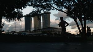 Panoramic silhouette of city skyline and trees at sunset.