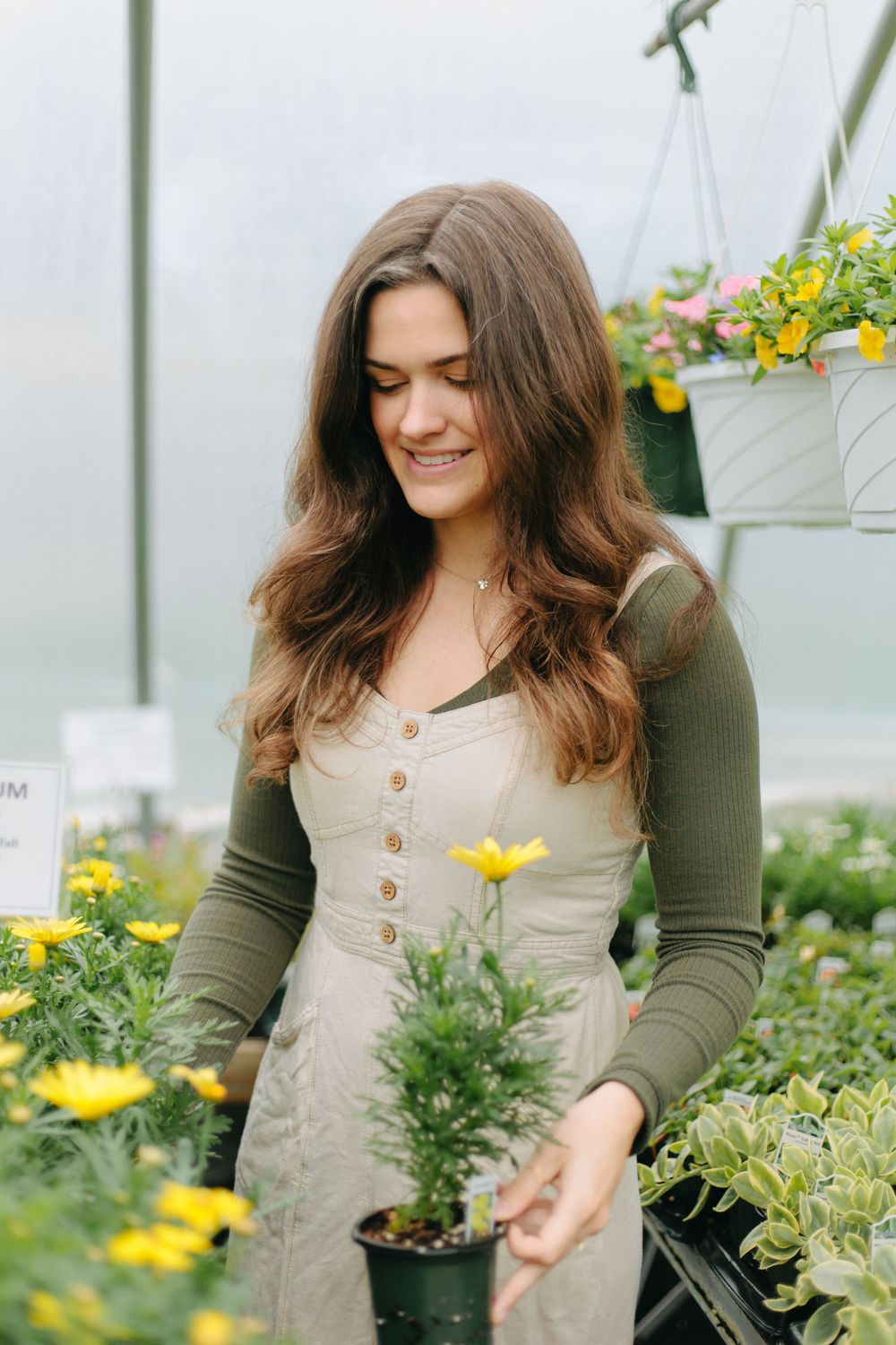 A young gardener in a beige dress and olive cardigan tends to potted plants in a greenhouse with yellow flowers.