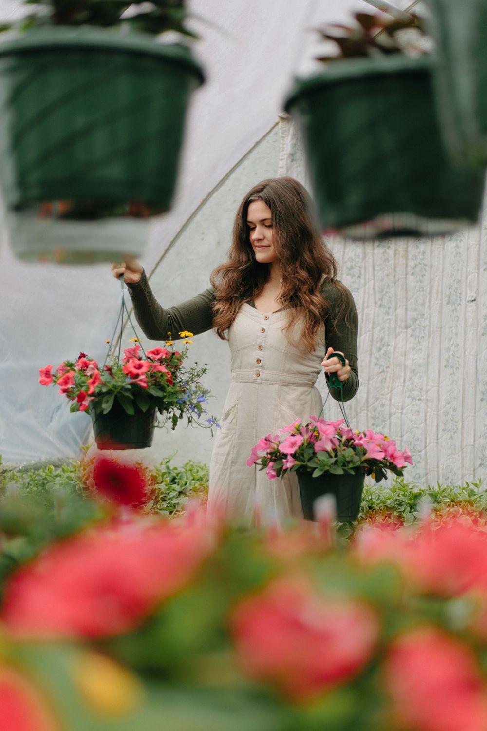 A person tending to hanging flower baskets with vibrant pink blooms in a garden setting.