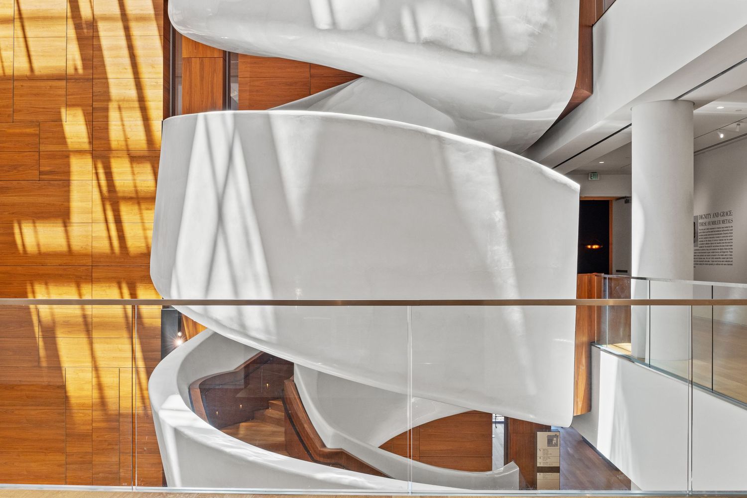 Modern atrium space with curved white surfaces and warm wood accents creating dramatic lighting effects.