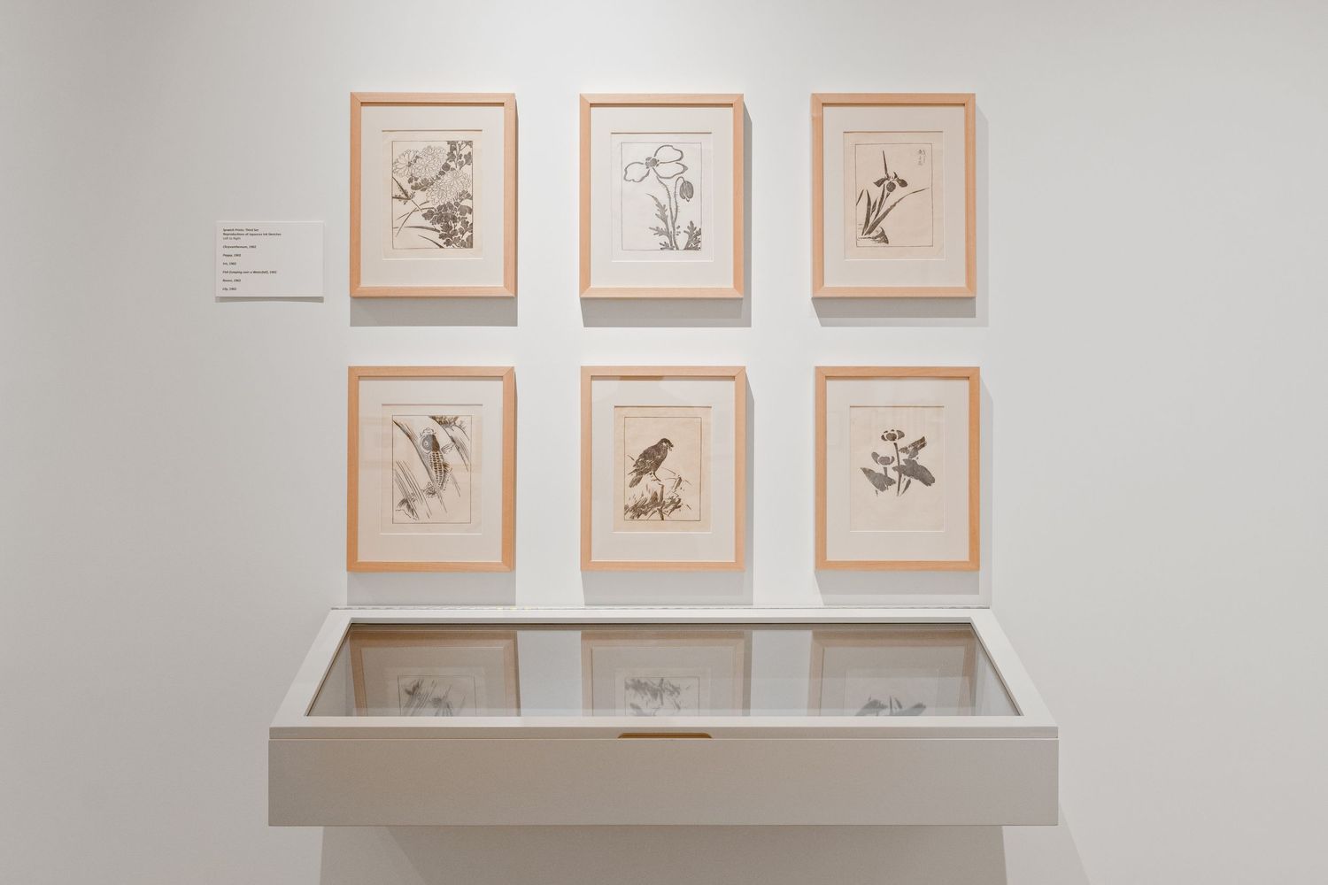 Gallery wall displaying framed sketches and drawings in wooden frames against white walls.