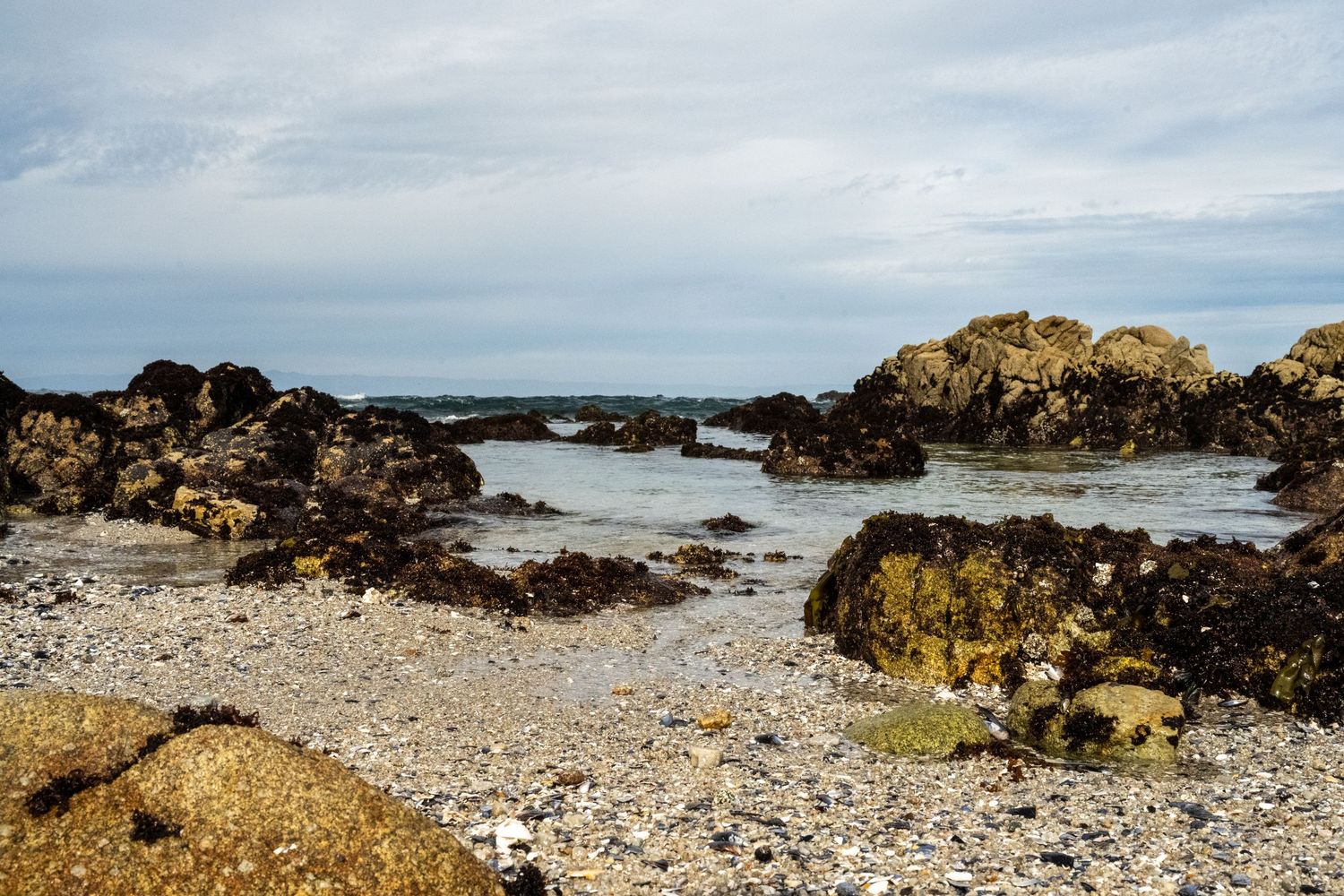 Scenic rocky beach coastline with tide pools and exposed formations during low tide.