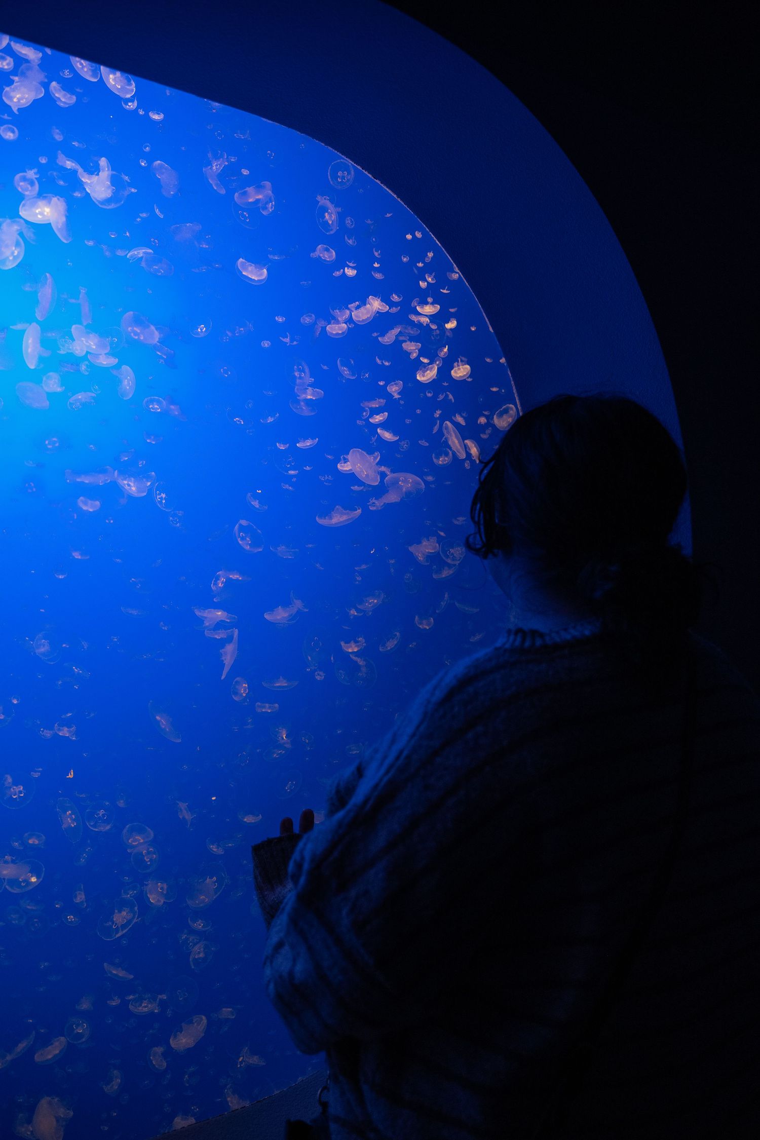 Silhouetted figures observe luminous jellyfish through aquarium glass.