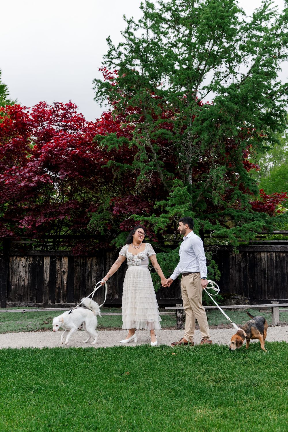 Couple walking their dogs surrounded by green and red trees during their engagment session in the guelph arboretum in guelph, ontario.