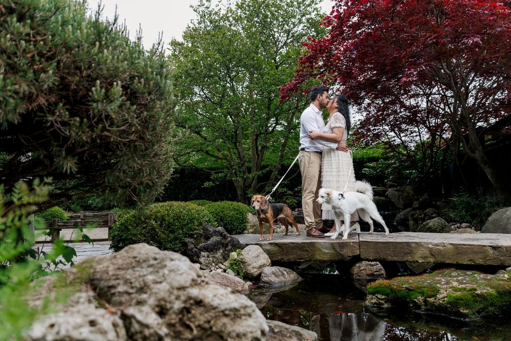 Natural engagement photo of couple with their dogs in the zen garden at the guelph arboretum in guelph, ontario.