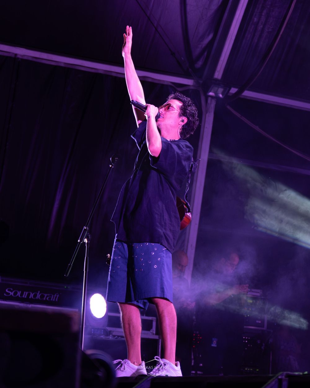 Male performer singing on stage with arm raised, purple stage lighting and fog effects at outdoor music festival.