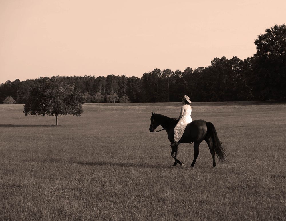 Equestrian photoshoot. Girl and her horse professional portrait.