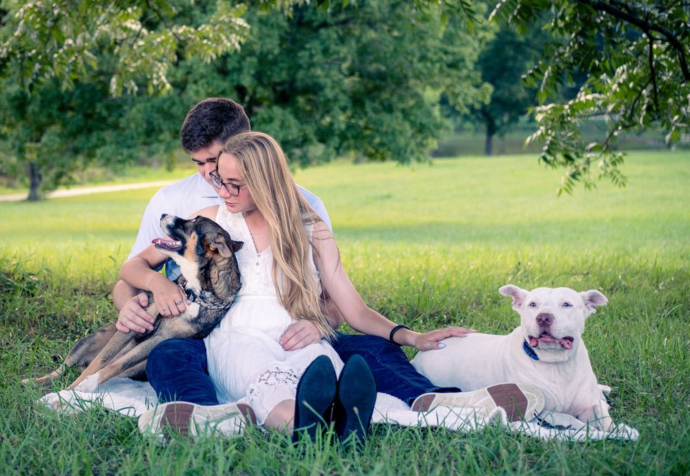 Couple sitting on grass in a park with two dogs, a German Shepherd and a white Pitbull, on a sunny day.