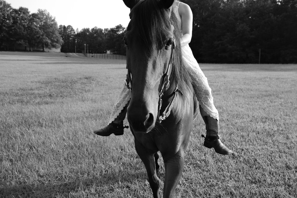Equestrian photoshoot. Girl and her horse professional portrait.