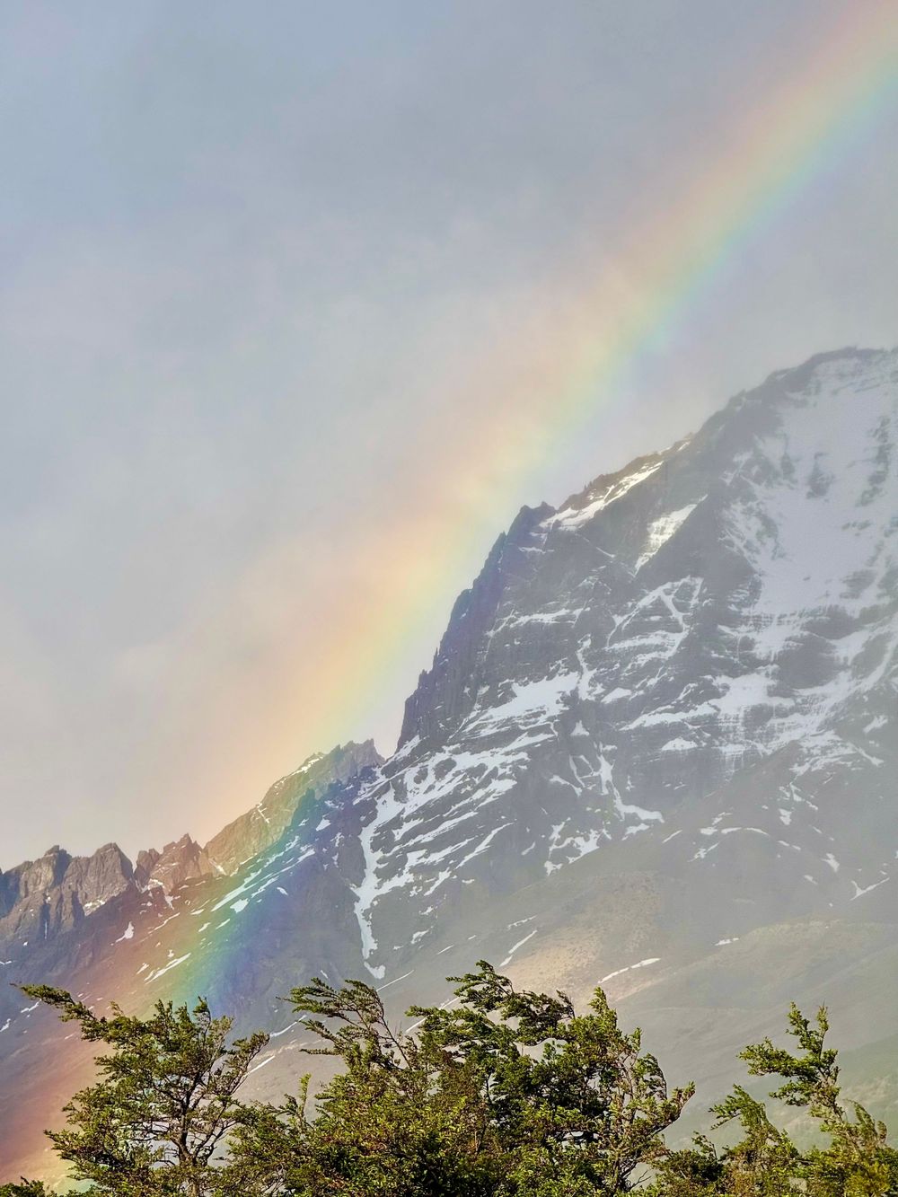 A vibrant rainbow arcs over a snow-capped mountain peak with trees in the foreground in Patagonia.