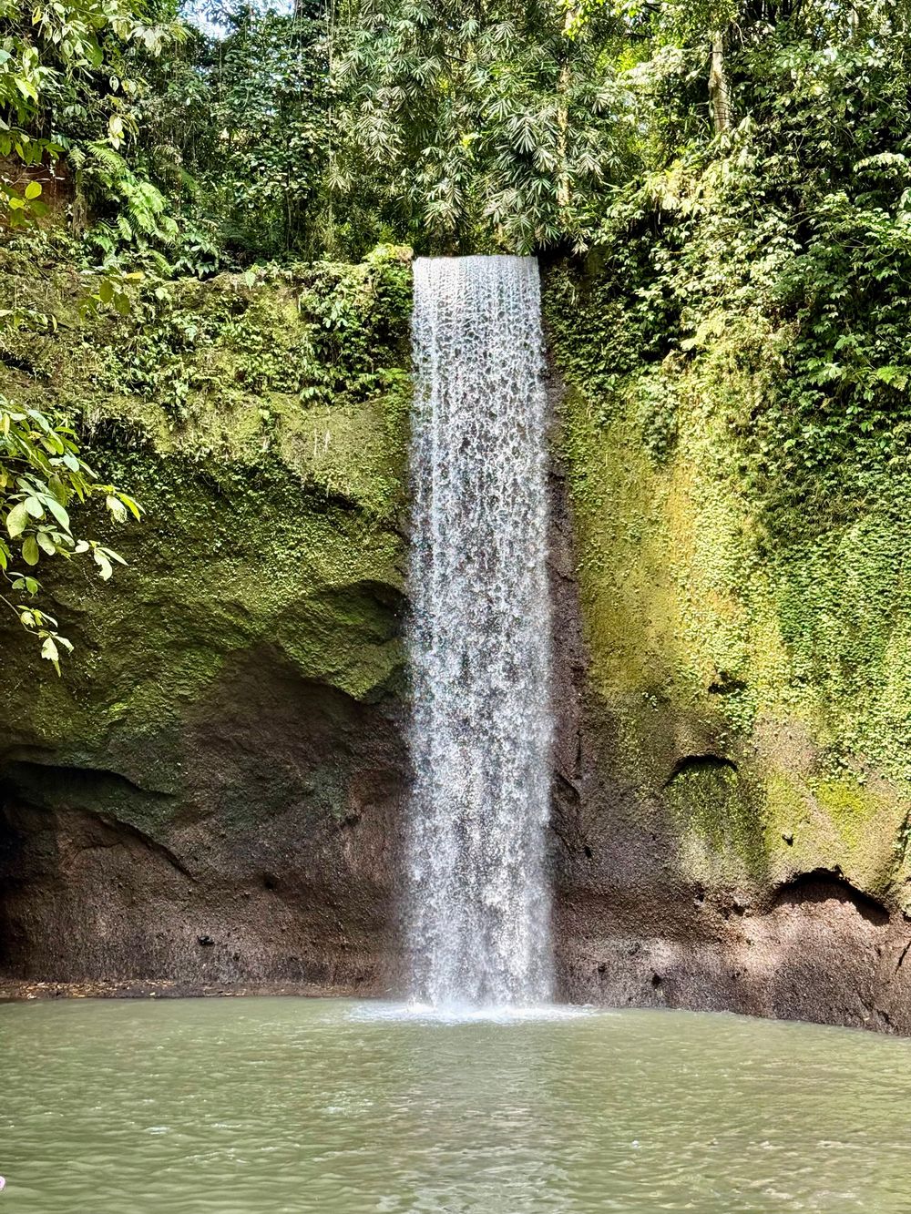 A tall single-stream waterfall cascading down mossy green rock walls into a serene jungle pool in Bali.