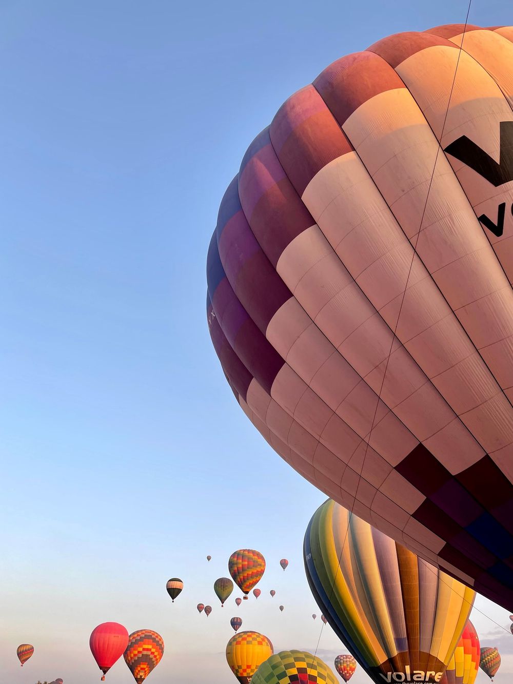 Vibrant hot air balloons filling clear morning sky at a large balloon festival event.