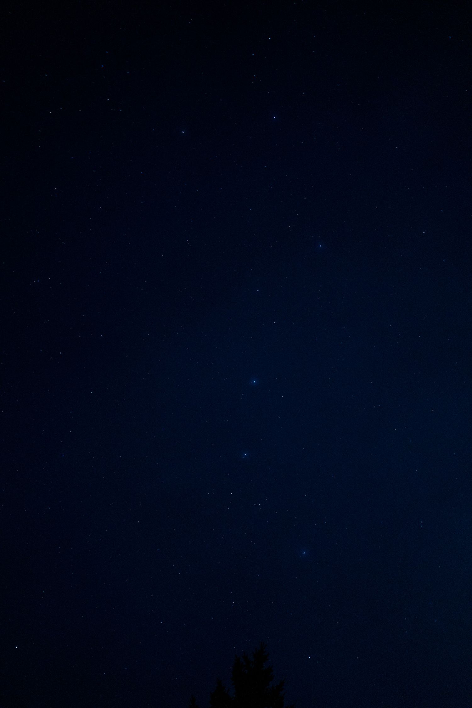 Photo d'un ciel étoilé prise dans le Semnoz