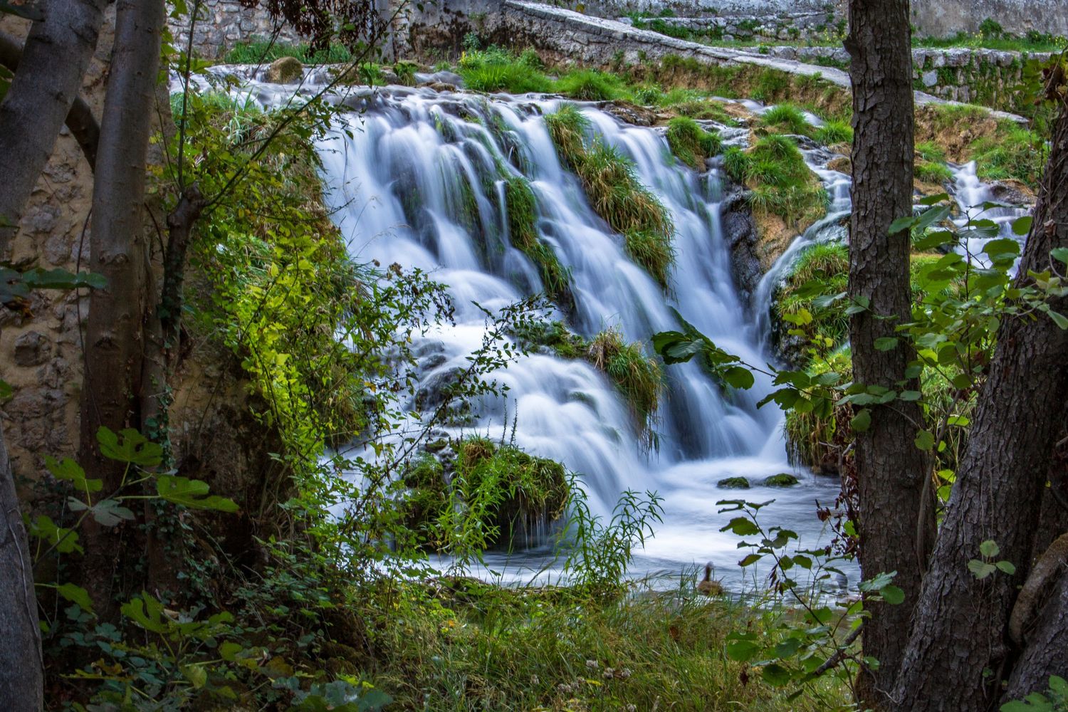 Silky smooth waterfall flows over moss-covered rocks framed by lush green trees and foliage in a serene forest setting.
