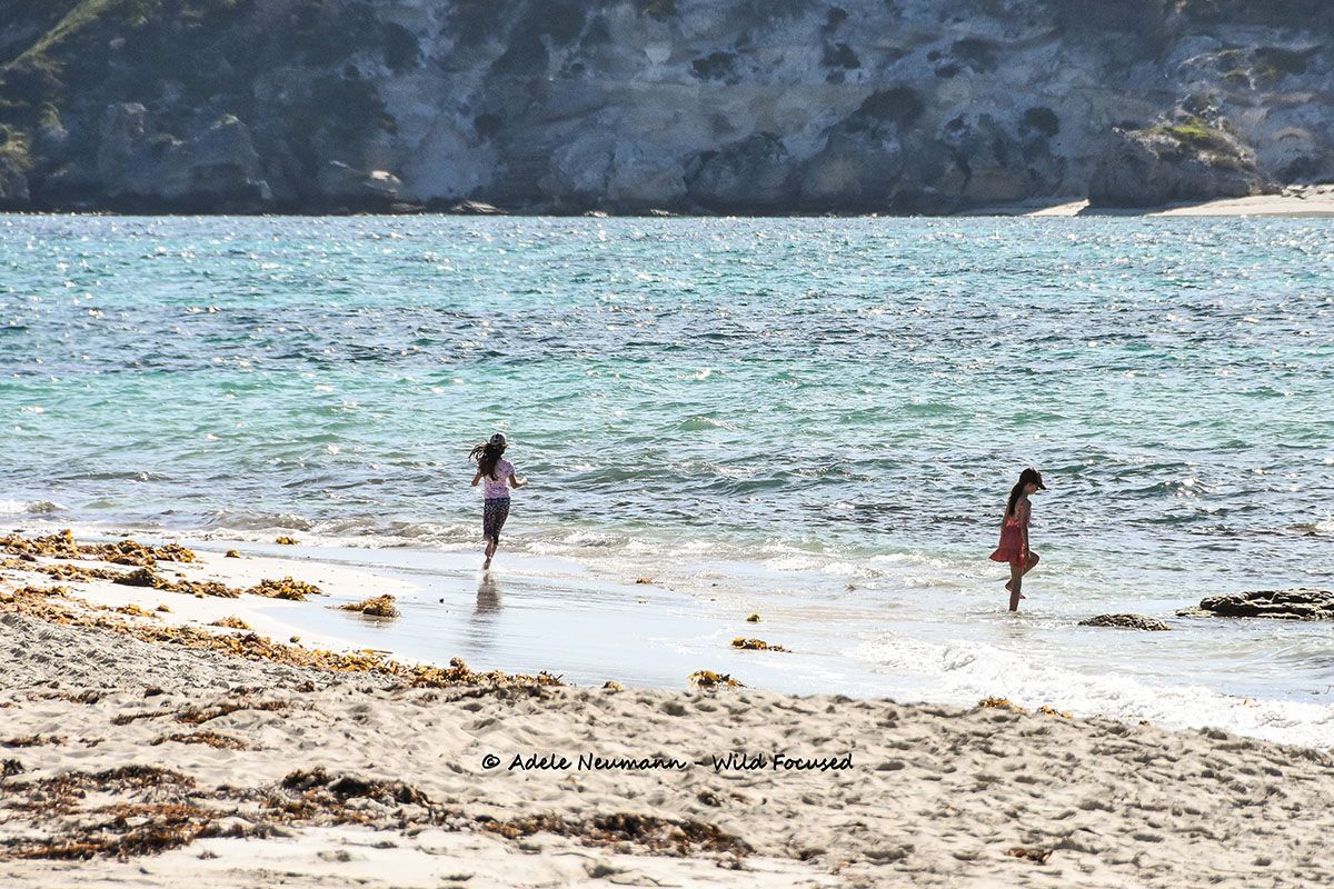 Two children playing on a sandy beach with turquoise ocean waves on a sunny day.