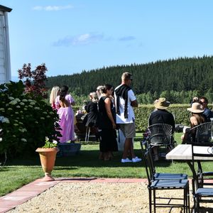 Guests enjoying an outdoor garden gathering on a sunny day with lush green trees and rolling hills in the background.