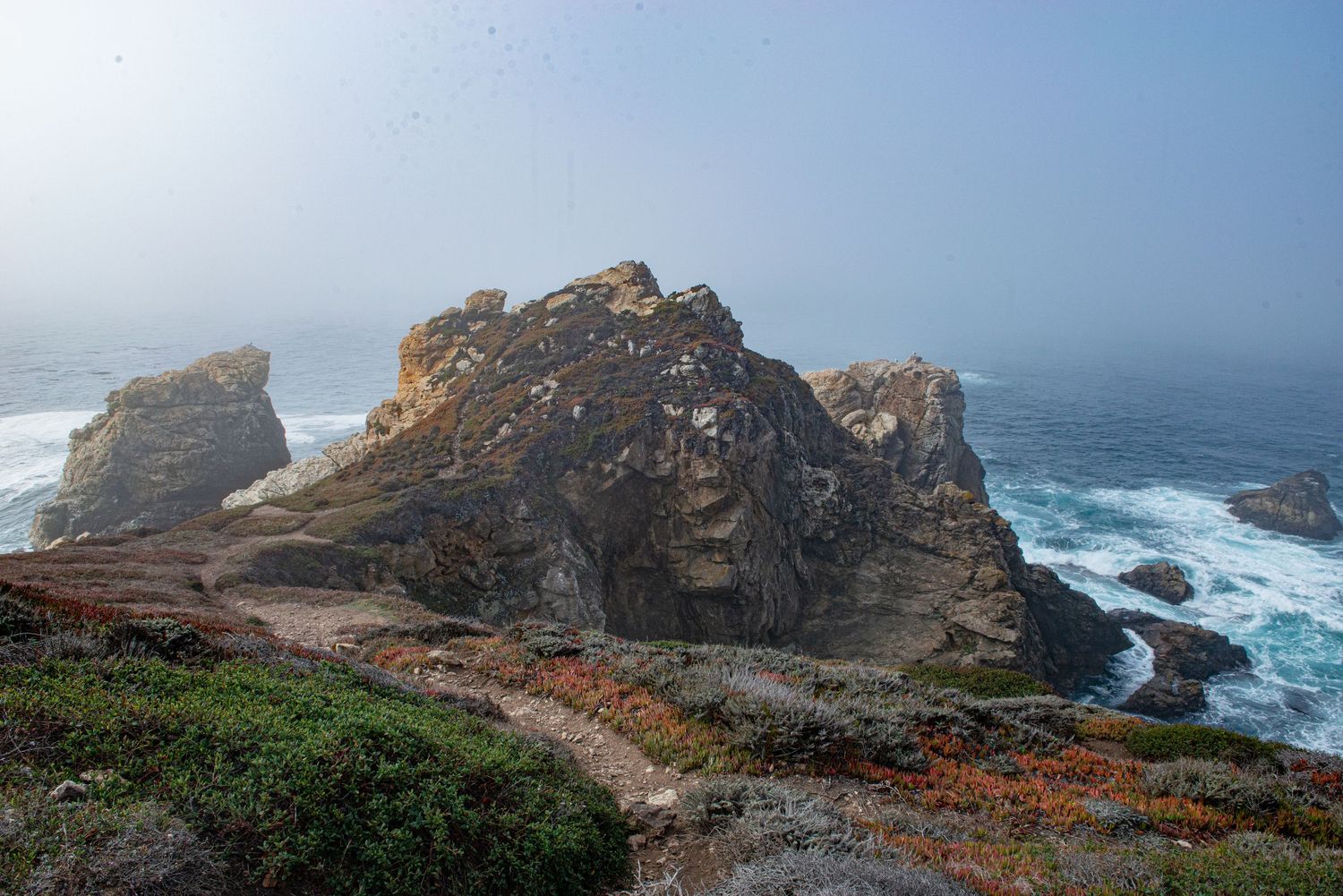 Rugged coastal rock formation surrounded by crashing ocean waves and colorful wildflowers on a misty California shoreline.