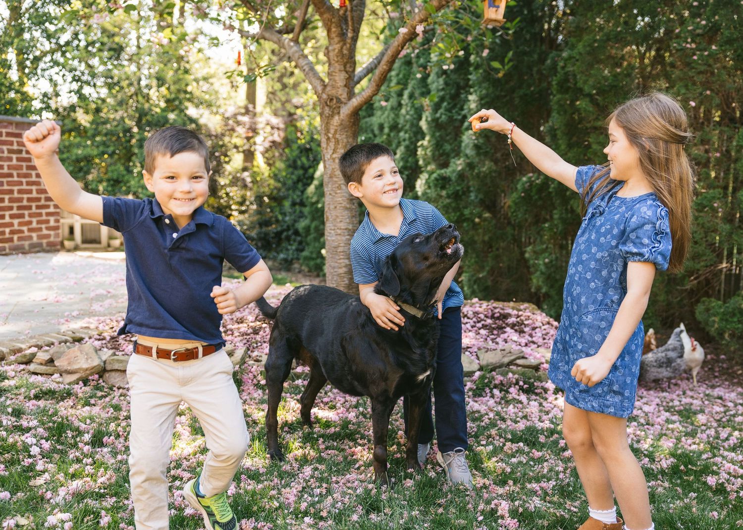 Richmond family photographer Emily Butz M.Photo Heirloom Richmond portrait photographer in-home newborn children mini sessions 30 minute