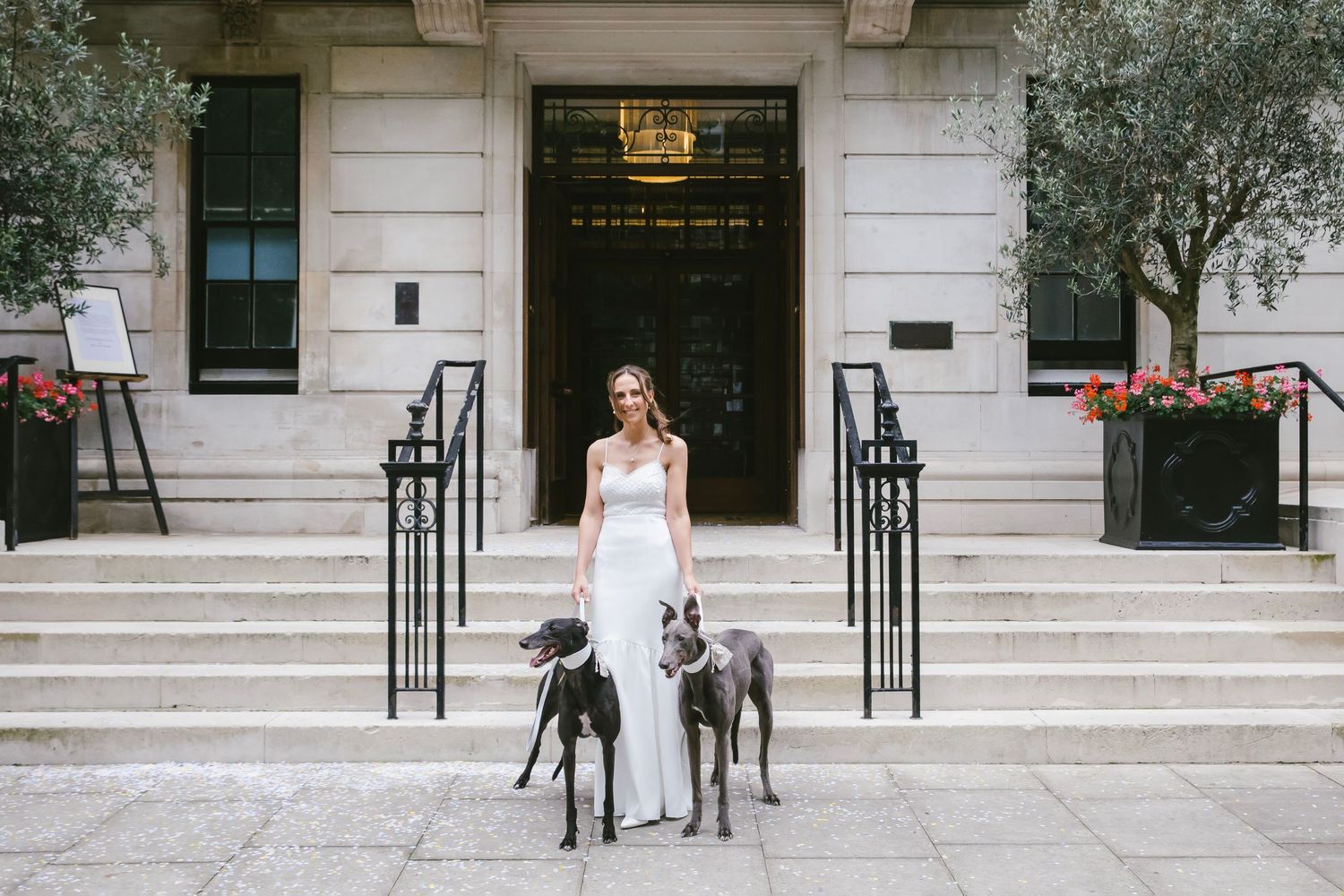 Elegant white neoclassical building entrance with stone steps, potted olive trees, and lush rooftop greenery.