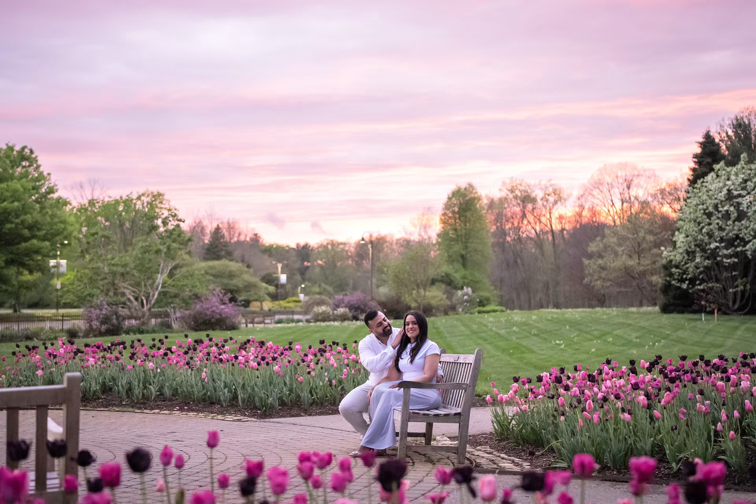 engaged Couple sitting on a bench surrounded by pink tulips at sunset in Inniswood Metro Gardens