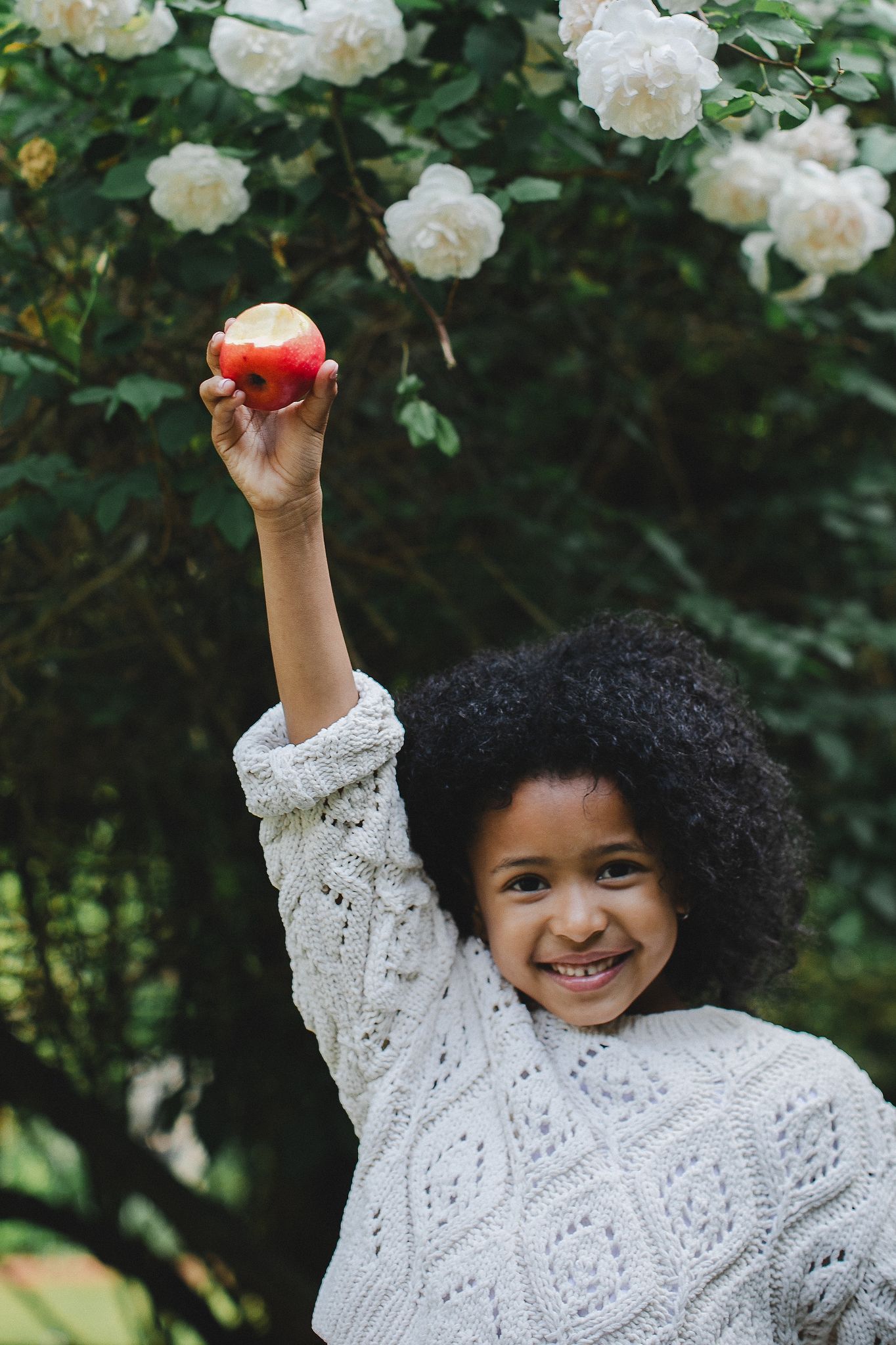 Bright, fresh Pink Lady apples styled to highlight colour and shine.
