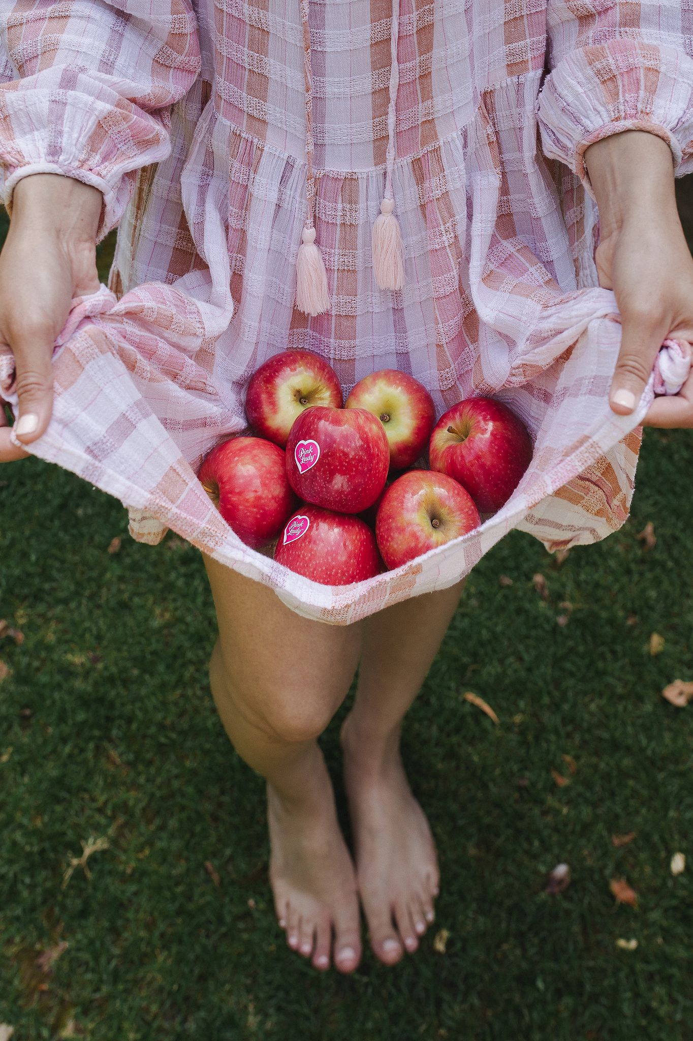 Natural light illuminating a cluster of Pink Lady apples with warm tones.