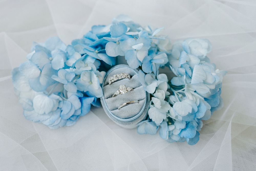 Silver wedding rings displayed in a gray velvet box surrounded by delicate blue hydrangea flowers on white tulle.