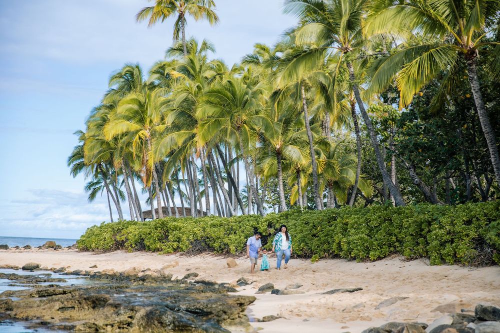 Couple walking hand in hand on a tropical beach lined with lush palm trees and rocky shoreline.