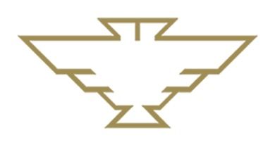 Gold geometric eagle logo design with angular lines forming a stylized bird with spread wings on white background.