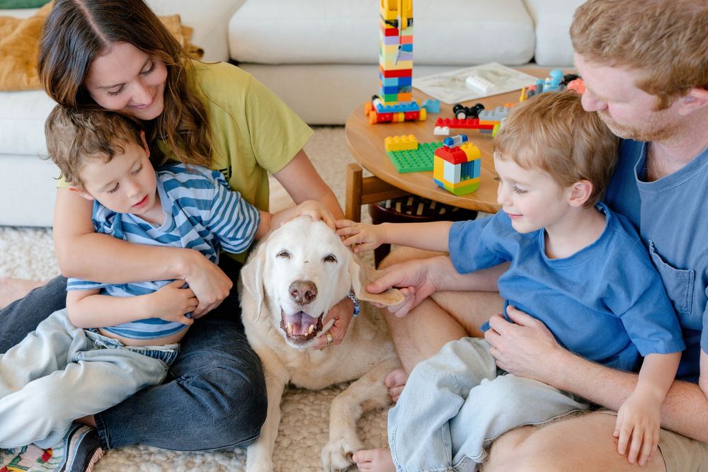 Family with two boys and a golden retriever dog sitting together on living room floor near colorful LEGO blocks.
