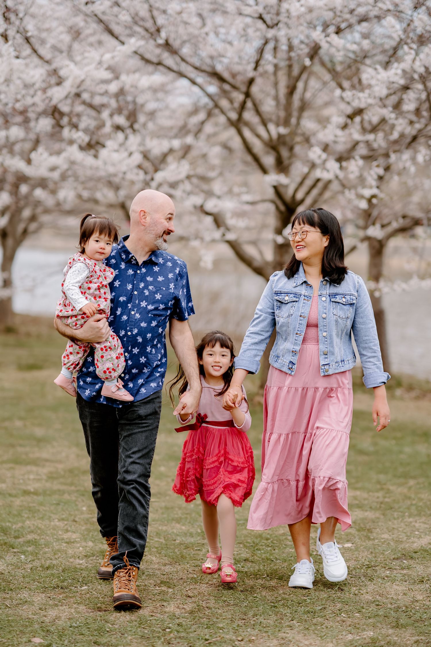 Family walking among cherry blossoms, parents holding daughters hands, smiling together in spring park.