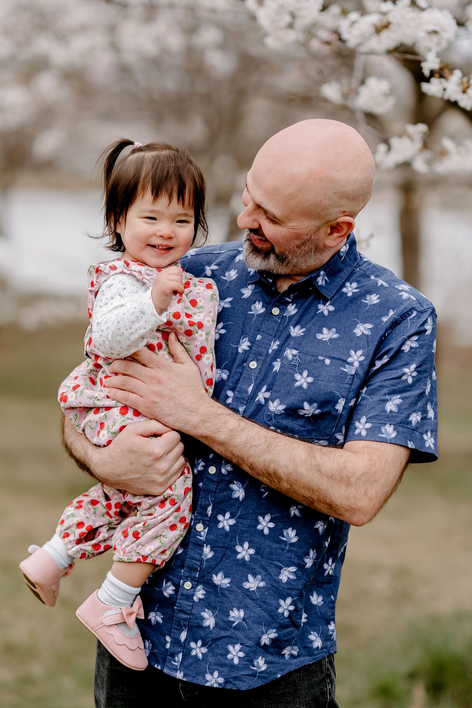 Bald bearded man in blue floral shirt holding smiling toddler girl outdoors near blooming cherry blossom tree in spring.