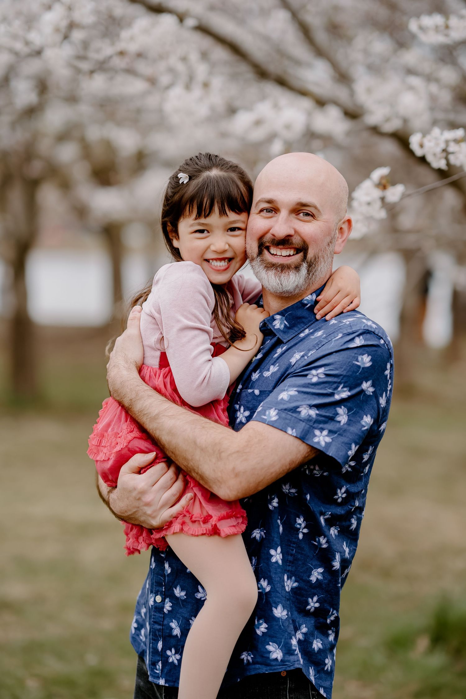 Smiling bald father holding young daughter in pink dress among blooming cherry blossom trees.